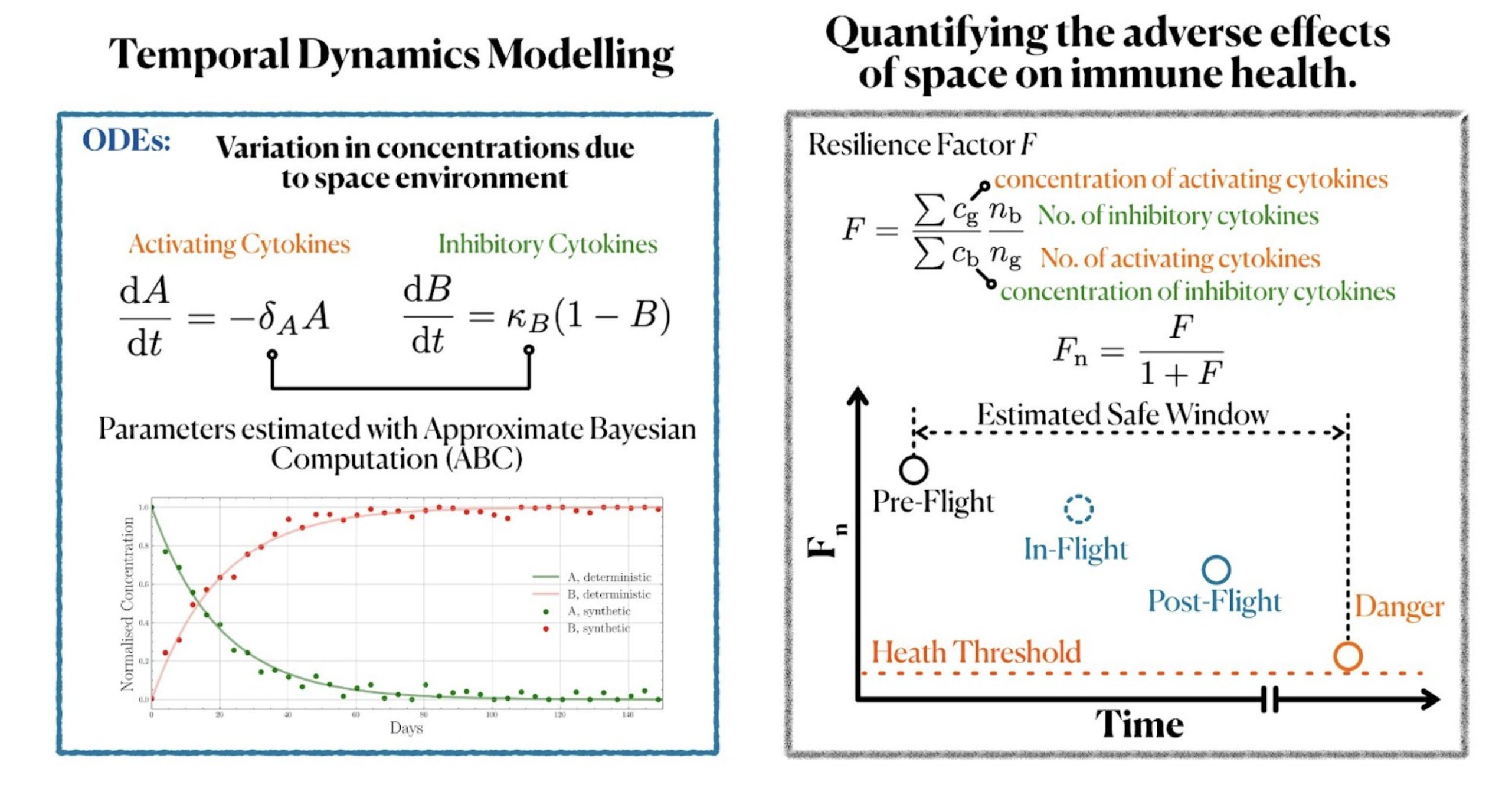 Summary slide from Redshift, a hackathon project modelling astronaut immune health with cytokine dynamics and a normalized resilience factor.